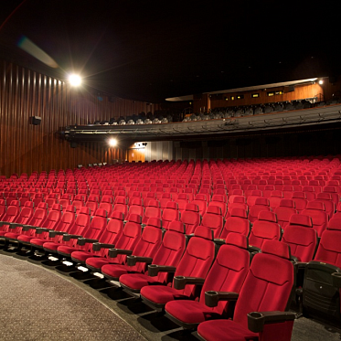 РАО приравняло музыкантов-иноагентов к правообладателям из недружественных стран