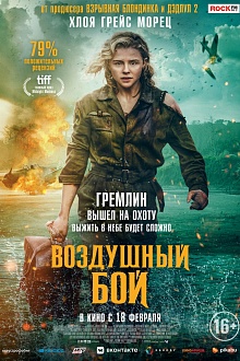 Воздушный бой