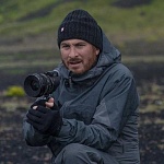 Даррен Аронофски получит почетную награду на кинофестивале в Локарно