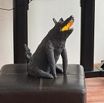 Студия ШАР представила эксклюзивные материалы по своим новым проектам