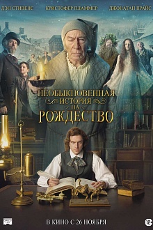 Необыкновенная история на рождество