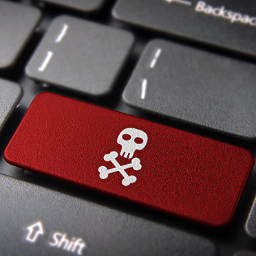 Число пиратских сайтов в России продолжает расти Число пиратских сайтов в России продолжает расти