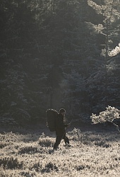 Легенды леса