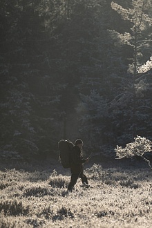 Легенды леса