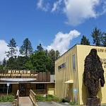 Сандэнс 2024: «Лохматые предки» - «и из слов одни местоименья»