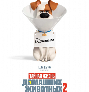 Итоги уикенда с 30 мая по 2 июня: зрители следят за тайной жизнью домашних животных