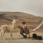 Фестиваль Дух огня представил участников конкурсной программы «Твоё кино»