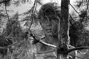 Фотовыставка «Природа в кадре» на Мосфильме Фотовыставка «Природа в кадре» на Мосфильме