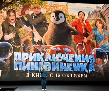 Российский кинобизнес 2026: презентация компании Наше кино Российский кинобизнес 2026: презентация компании Наше кино