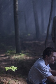 Море деревьев