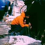 На Роттердамском кинофестивале победили фильмы из Японии и Ирана