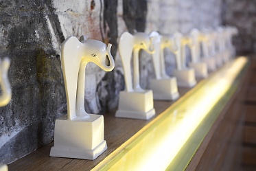 Белый слон: вместо премии - заявление координационной группы