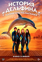 История дельфина: каникулы на Багамах