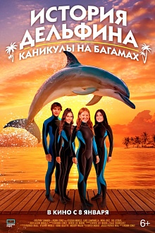 История дельфина: каникулы на Багамах