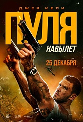 Пуля навылет