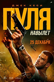 Пуля навылет