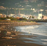 В прокат выходит фильм «Интонации большой Одессы»