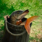 Удочка и рыба: насколько эффективна господдержка российского кинопроизводства