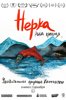 Нерка. Рыба красная