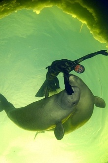 Рожденные свободными