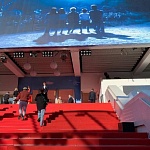 Каннские дневники 2024: о работе журналиста, курьезах и претенденте на главную награду