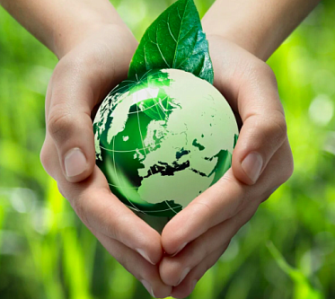 Экологическая повестка внедряется в российское кино Экологическая повестка внедряется в российское кино