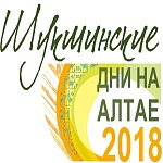 На Шукшинском кинофестивале обсудили проблемы регионального кино и подвели итоги питчинга