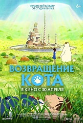 Возвращение кота