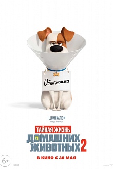 Тайная жизнь домашних животных 2