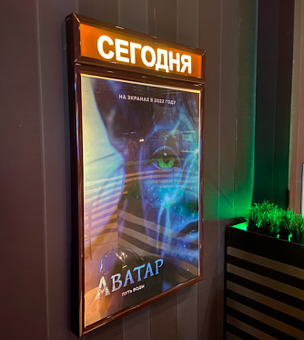 Чем мы заняты в тени: «первый» уикенд нелегального проката сиквела «Аватара»