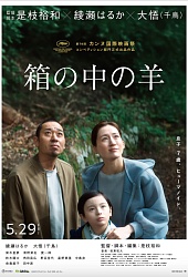 Барашек в ящике