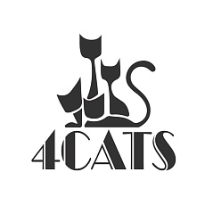 4 Cats Pictures 4 Cats Pictures