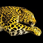 Два российских фильма вошли в конкурс фестиваля в Локарно