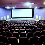 Совфед обратил внимание на критическое положение кинотеатров