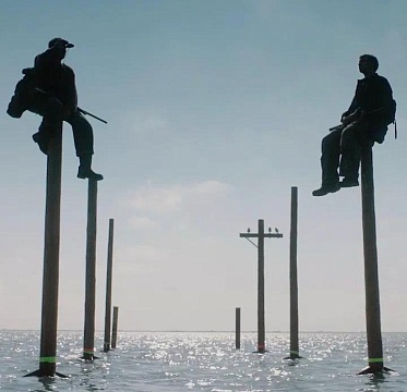 Победители XXXIX премии Ника: «Ветер» — лучший фильм года