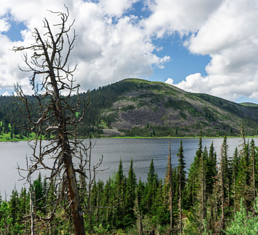 В Красноярском крае установлен максимальный размер рибейта 