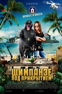 Шимпанзе под прикрытием