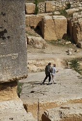 Архитектон