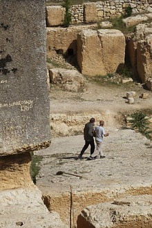 Архитектон