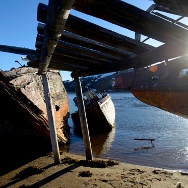 Мурманская область распределит рибейты между шестью проектами