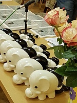 «Слоны» для киноведов