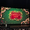 Российский кинобизнес 25/26: презентация компании Capella Film
