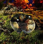 Стартовали съемки фэнтези-приключения «Лукоморье»