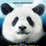 Семейная комедия «Спасти панду» выходит на большой экран