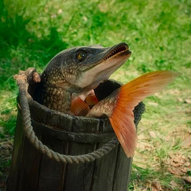 Удочка и рыба: насколько эффективна господдержка российского кинопроизводства