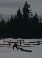 Компания