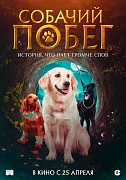 постер фильма Собачий побег