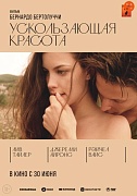 постер фильма Ускользающая красота