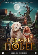 постер фильма Собачий побег
