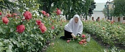 кадр из фильма Ангельский чин. Фильм о сёстрах Новодевичьего монастыря